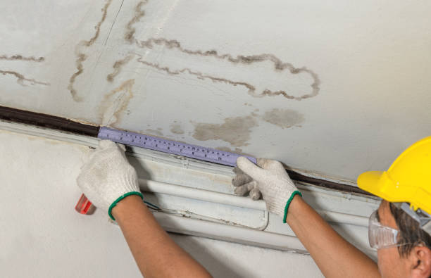 Reliable Water Damage contractor in Orrville, OH by Water Damage Irwin